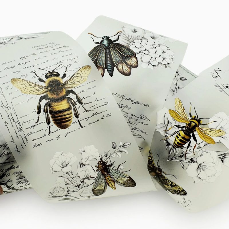 Butterflies, beetles, bees, vintage insects PET tape