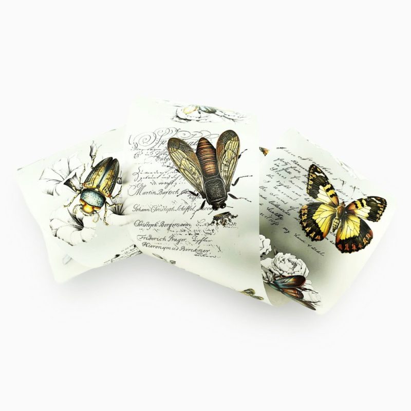 Butterflies, beetles, bees, vintage insects PET tape