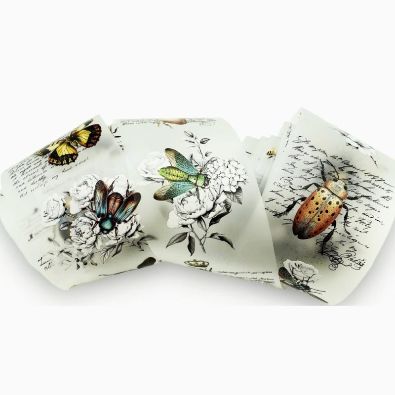 Butterflies, beetles, bees, vintage insects PET tape